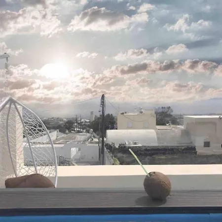 Amaryllis Santorini *