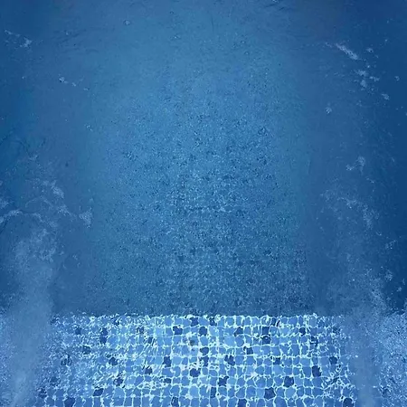 Amaryllis Santorini *