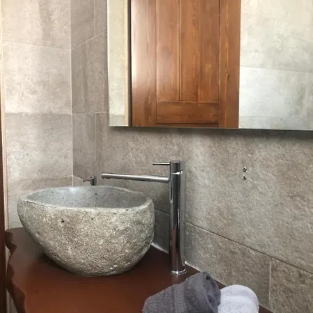 Amaryllis Santorini *