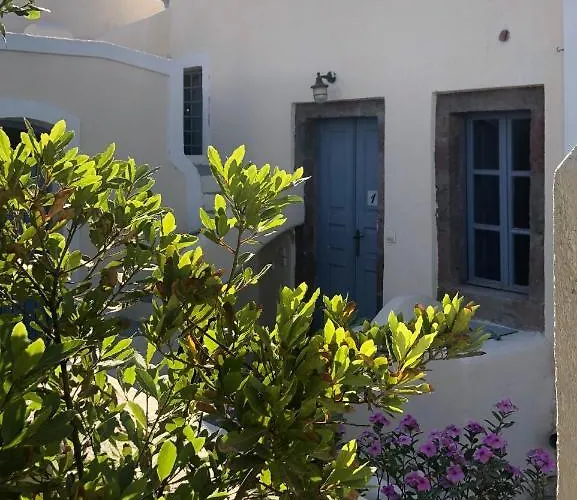 Amaryllis Santorini Тира