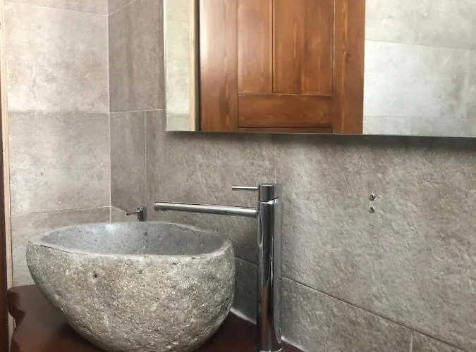 Amaryllis Santorini *